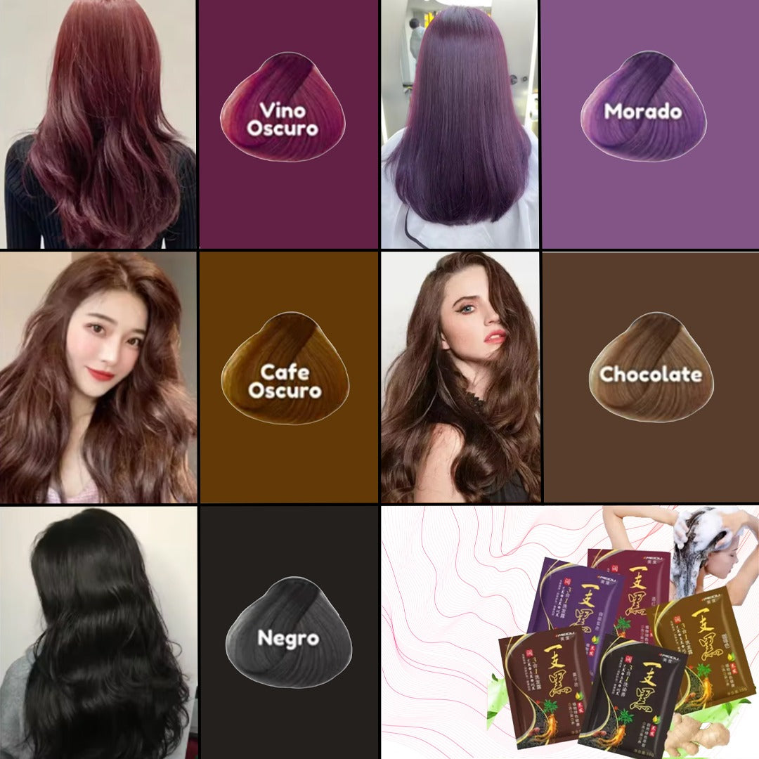 Shampoo de Tinte Instantáneo Cubre Canas