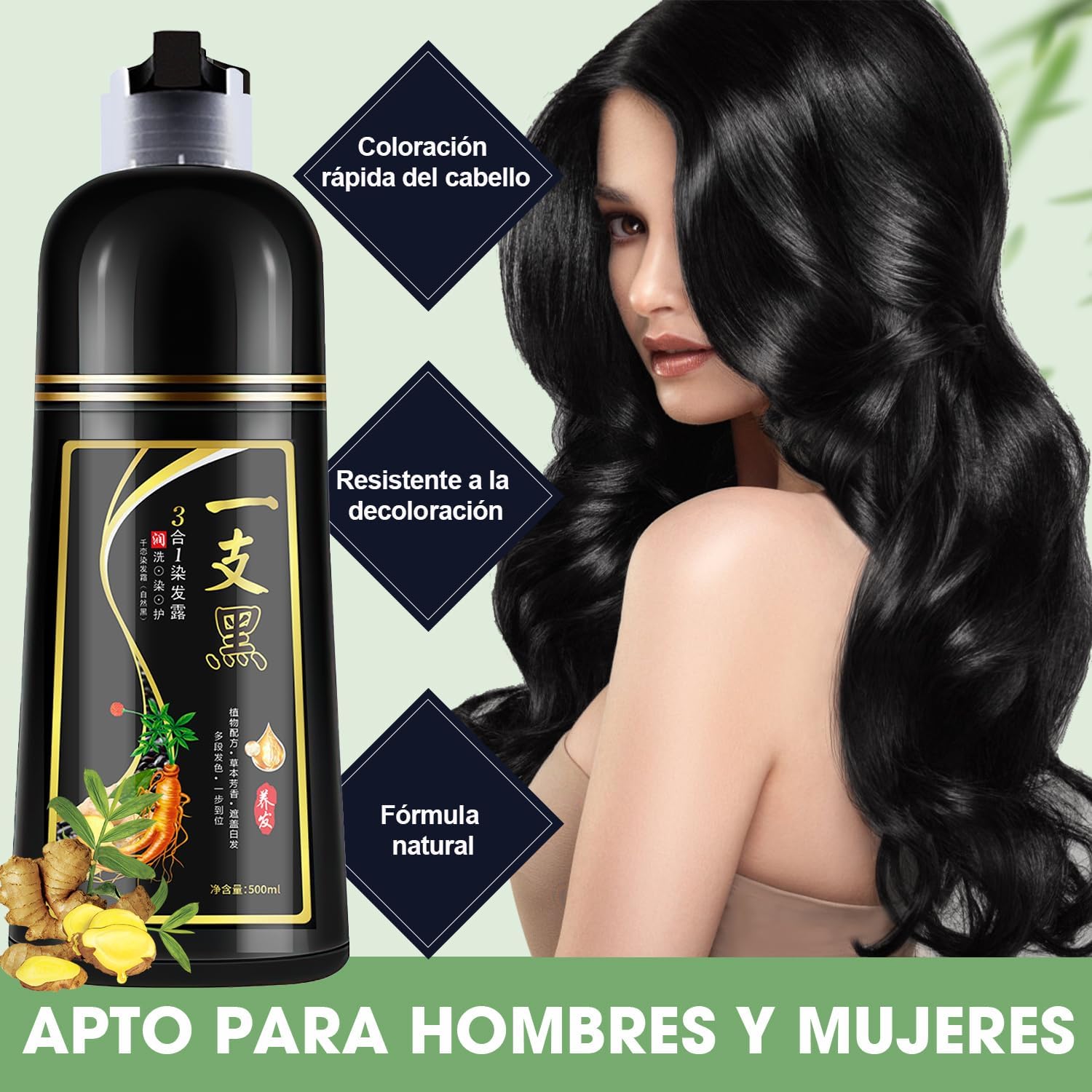 Shampoo Natural con Tinte