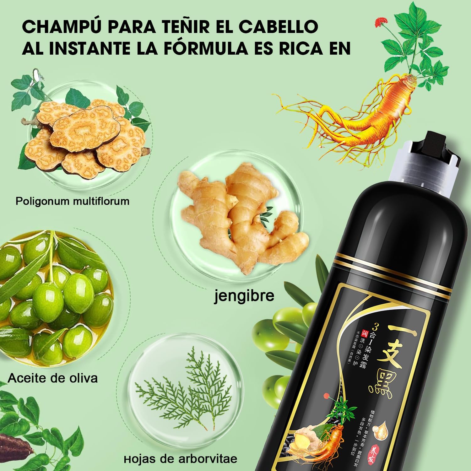 Shampoo Natural con Tinte