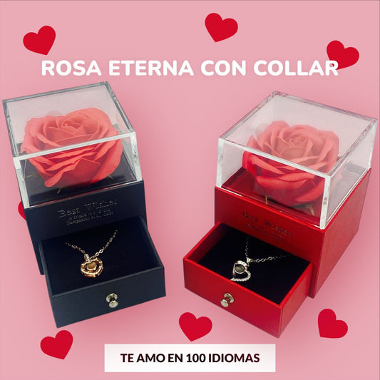Rosa Eterna con Collar