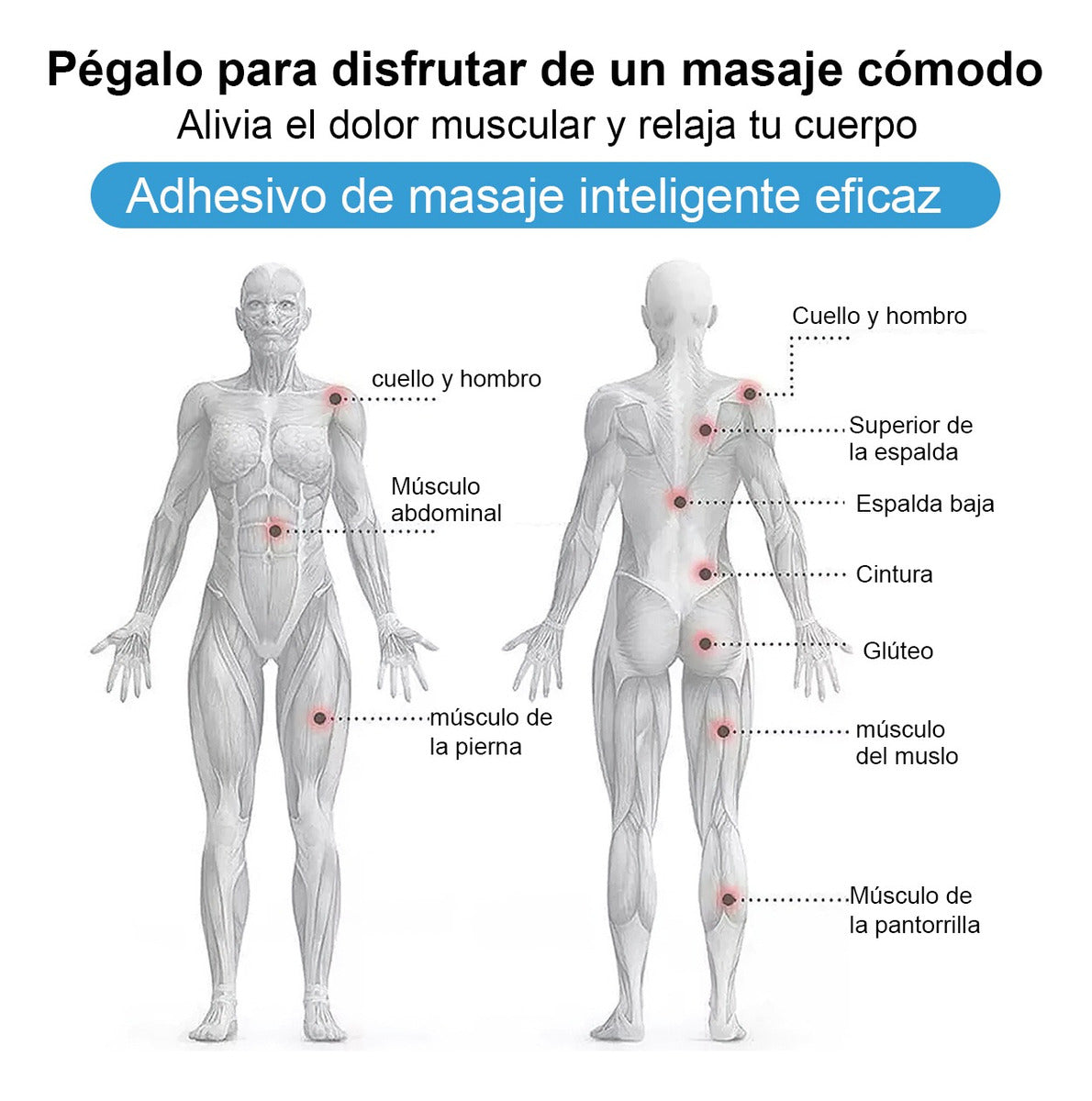 Estimulador Muscular Eléctrico  💆🏻‍♂